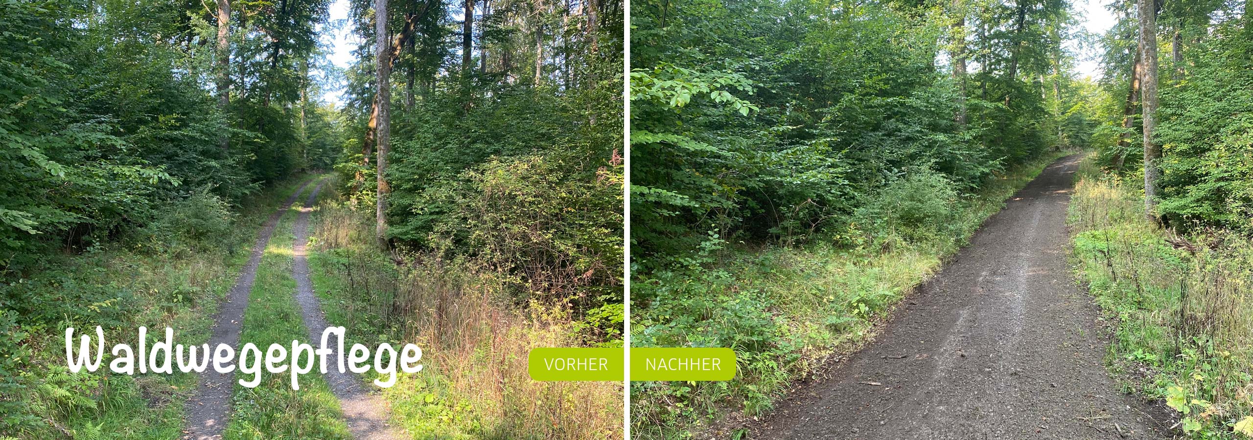 Ein Waldweg vor und nach der Waldwegepflege